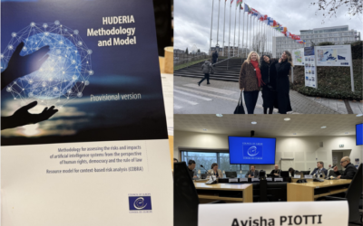 The Council of Europe Expert Group: Advancing Responsible AI